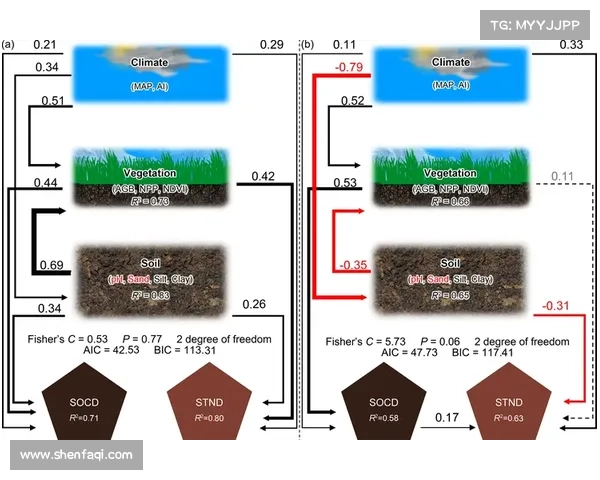 卷帘绿魔再现揭示生态与养护奥秘探索绿植生长与环境调控的完美平衡 卷帘绿魔再现揭示生态与养护奥秘探索绿植生长与环境调控的完美平衡